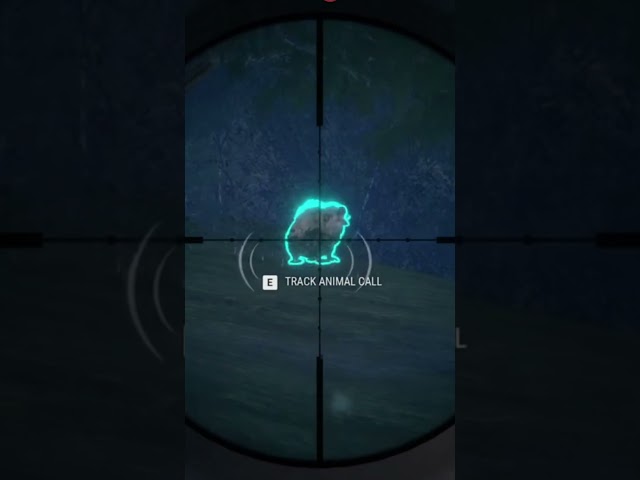 Is the Wild Haggis Actually REAL?