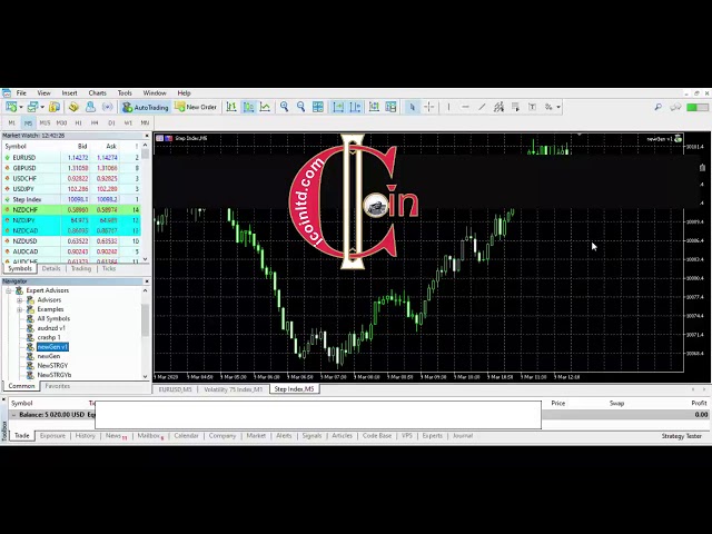 Live 2 hours Binary Robot Testing ($400)