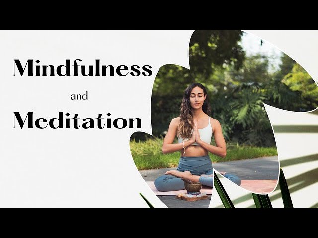Unlocking the Power of Mindfulness: A Journey Within  | Uplifting Book Summary