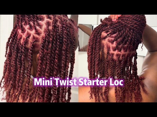 How to Start Loc Extensions with Mini Twists | Detailed Tutorial | ft. EXYHAIR