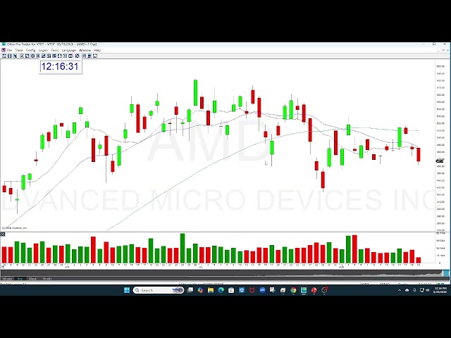 META Gap Options Newsletter Review 8-19-2026