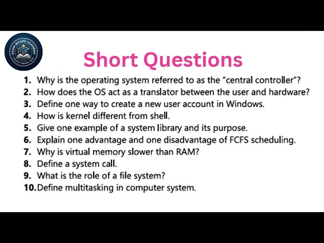 Chapter 1 Exercise Solution (MCQs, Short & Long) | Class 10 Computer Science 