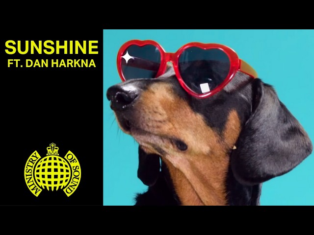 TIEKS - Sunshine ft Dan Harkna (Official Music Video) | Ministry of Sound