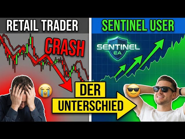 Das "Safety-Tool" der Profis: Wie der Sentinel EA dein Konto unzerstörbar macht 📉🚫