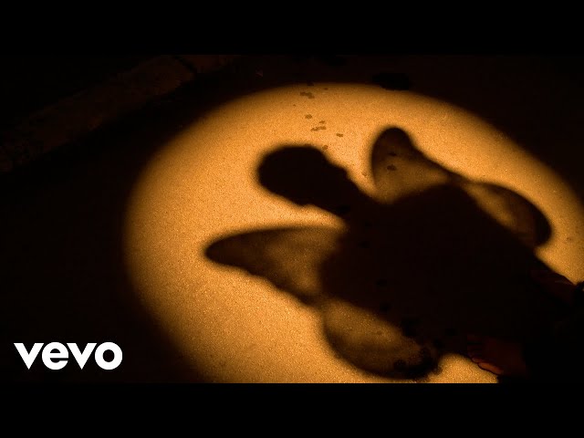 Icona Pop - Butterfly Feelings (Official Video)