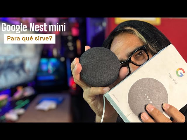Google Nest mini / what is it for?