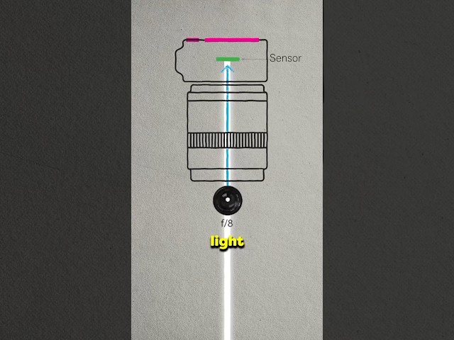 How to use your camera in full manual mode the easy way #cameratips #photography