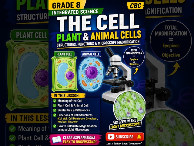 Grade 8 Integrated Science: Plant & Animal Cells, Cell Structures & Microscope Magnification