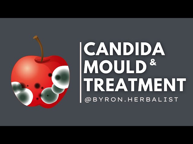 Treating Candida and Mould in the GUT: A Case Study