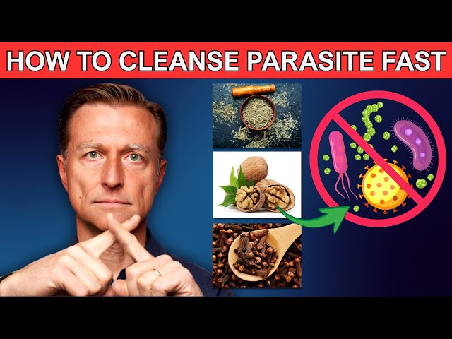 Parasite Cleanse for Humans with Dr Berg Recommendation | Wormwood Black Walnut Clove for Cleansing