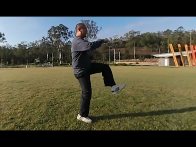 Kung Fu Bootcamp level 1.5 - Punching in horse stance with kicks (Samsung Gear 360)