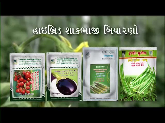IPO INDOUS BIO-TECH LIMITED