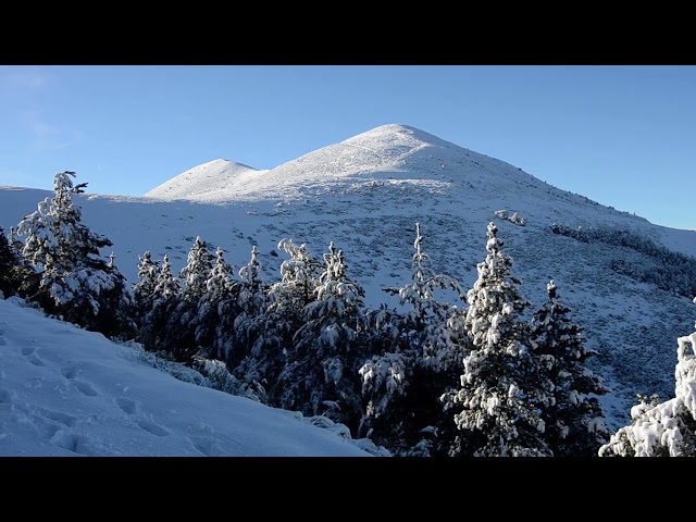 Gaur zeru urdina, Txilizarrias.