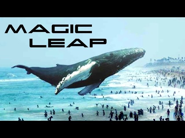 Magic Leap   -  All videos in one