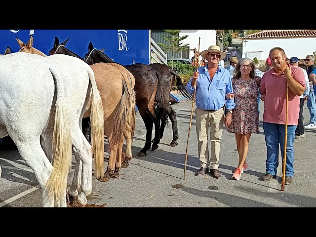 🐴 "Mule Day" 2025 in Arenas (Málaga) 😍