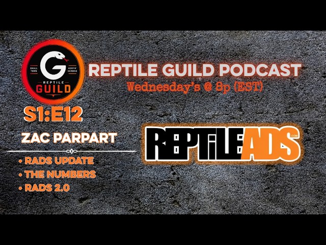 What’s New With Reptile Ads? | RADS Growth, Traffic & New Features | Reptile Guild Podcast