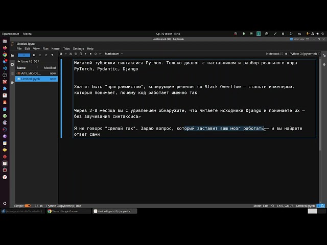 No Python syntax memorization. Just mentor interaction and real-world Python code analysis.