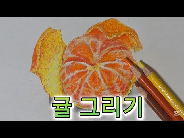  귤 그림 그리기/ 종이에 귤이 맺히는 과정