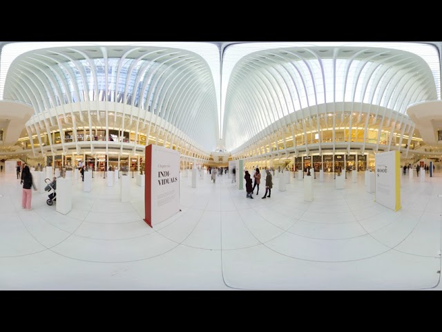 WTC Oculus Timelapse by QooCam 8K