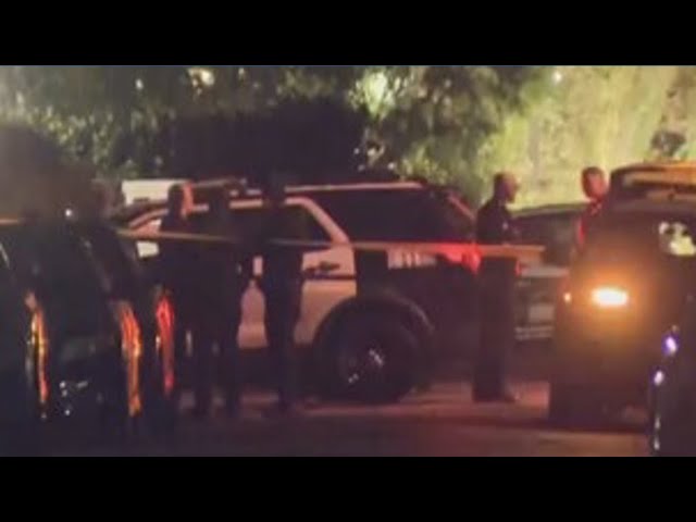 Rob Reiner's son Nick arrested in connection with parents' deaths