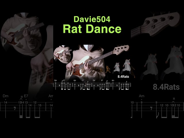 Davie504 - Rat Dance type bass solo #bass #davie504 #ratdance