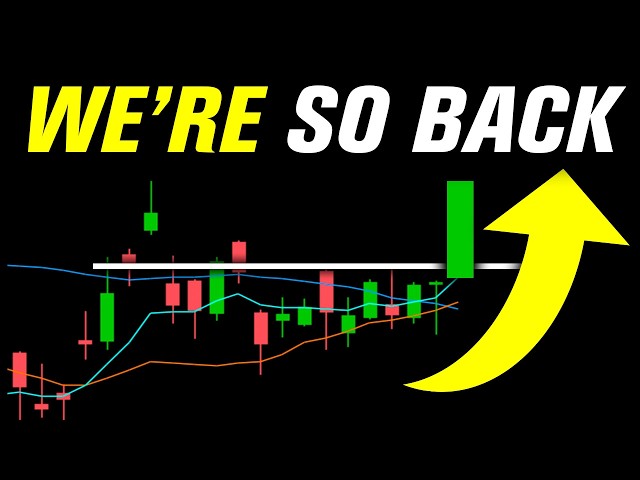 Is The AI Trade 'So Back?'