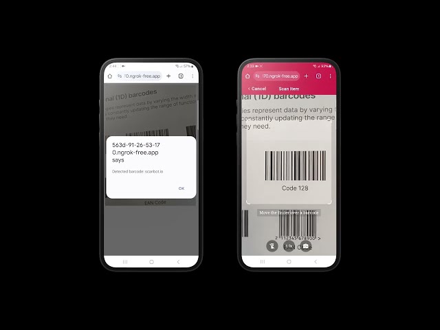 Quagga JS Tutorial: Build a Barcode Scanner in JavaScript (vs Scanbot SDK)