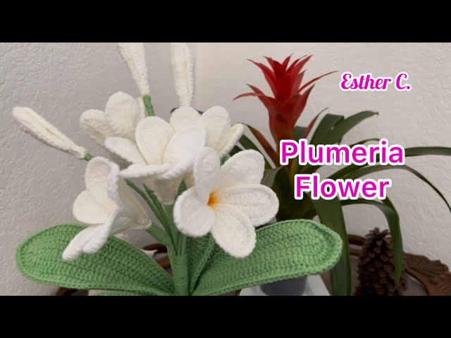 How to Crochet Plumeria Flower 🌸 Easy Plumeria Flower Tutorial 🌸 CROCHET PLUMERIA 