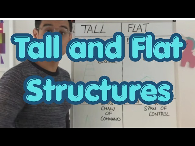 Tall Structure vs. Flat Structure