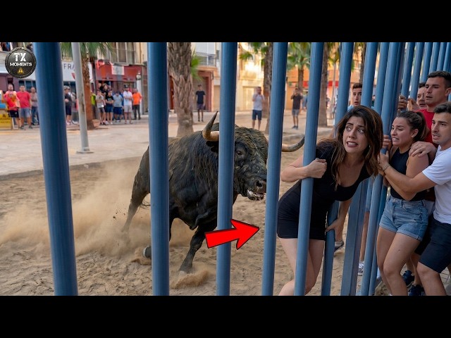 80 MOST TERRIFYING ANIMAL ATTACKS Ever Caught on Camera  #6 - Wild Animals Invading People’s Homes