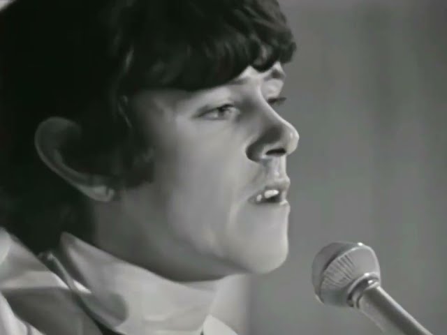 NEW * Sunshine Superman - Donovan {Stereo} 1966