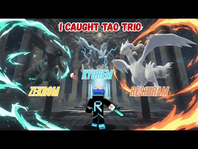 I Caught Zekrom in Minecraft Cobblemon | Cobblemon Legandary Catching | #minecraft #cobblemon