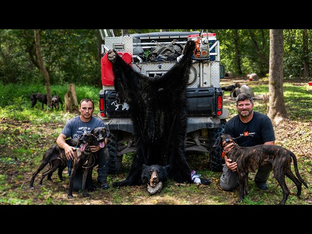 We Hound Hunted with Strangers and Caught a Bear!!