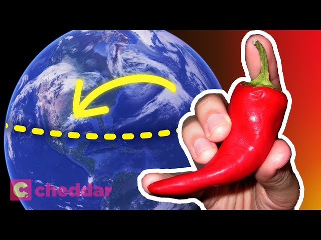 The Real Reason Equatorial Cultures Eat Spicy Food - Cheddar Explores