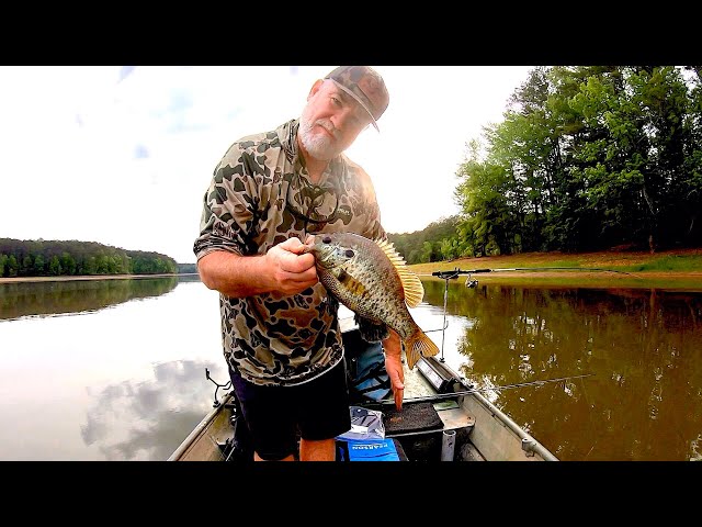 Shell cracker spawn tips and set up🎣💪🏼