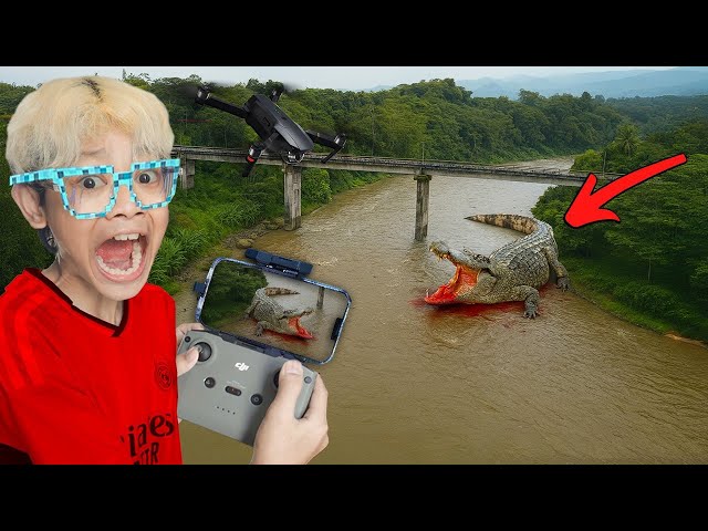 RECORDING OF THE SECONDS OF THE APPEARANCE OF THE GIGAS ESTUARY CROCODILE IN THE RIVER, RECORDED ...