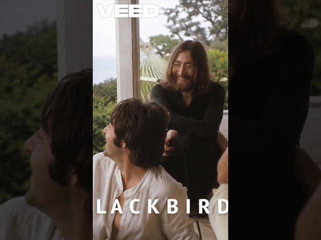 BlackBird | The Beatles | Cover Remix Roots Reggae #shorts #thebeatles #blackbird #reggae #cover