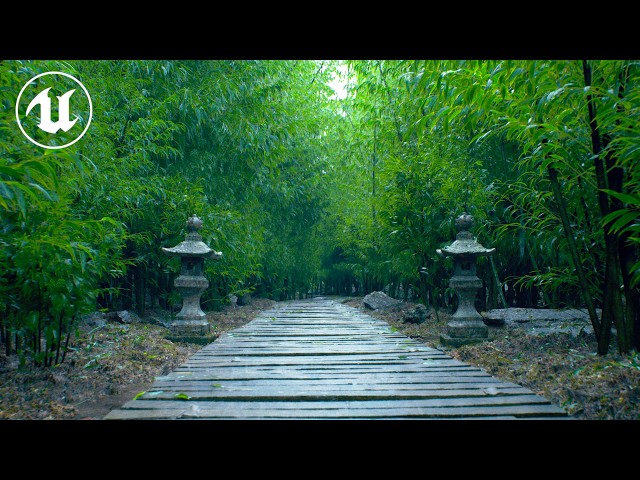 Virtual Bamboo Grove | UE5 [4K]