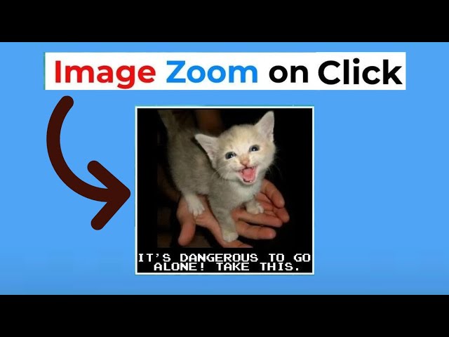 How to Zoom Image On Click using HTML & CSS Only
