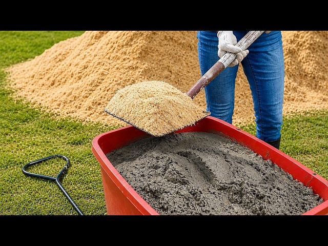 Pour Sawdust into Cement and see what most people don't even imagine happens! Creation Daily