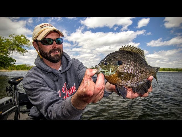 Panfish 101 — Angling Edge TV