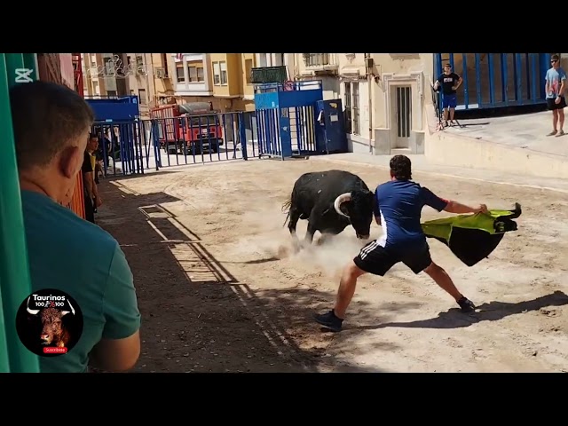 ALCORA ( CS ) 4-9-2026 TOROS CERRILES DE EL PELAYO Y DOMÍNGUEZ CAMACHO 