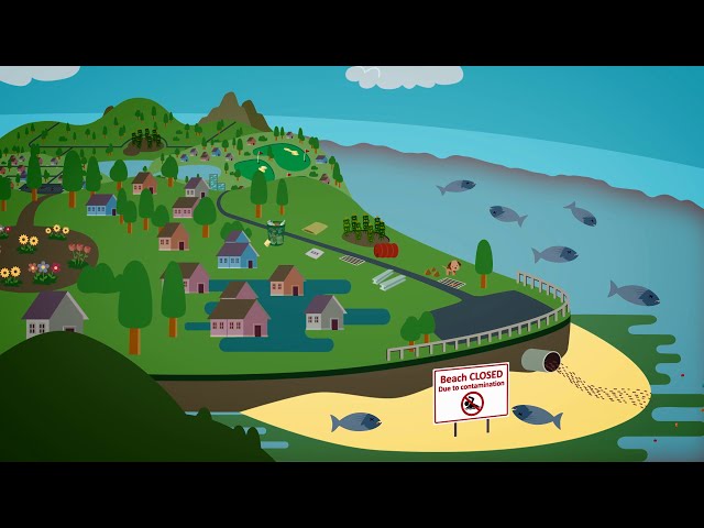 Stormwater Pollution & Green Infrastructure Solutions