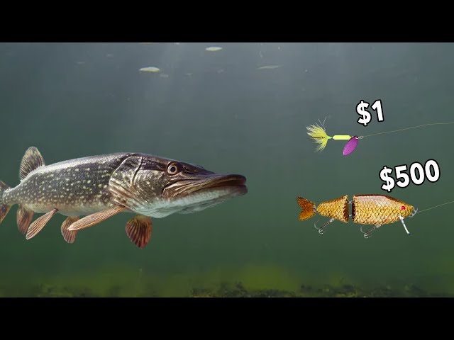 ¡Señuelo de pesca de $1 versus $500!