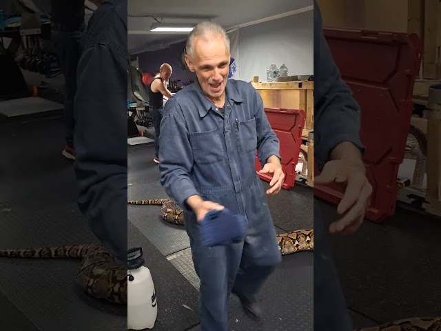 Jimmy "The Ratts" Snake Pitt
