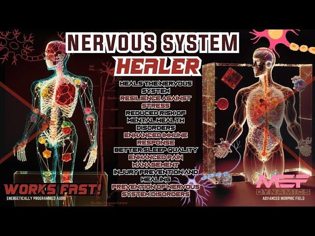 Nervous System Healer (Super Underrated!)