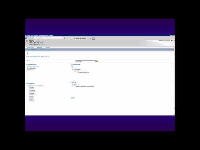Getting More Out Of Master Data Services