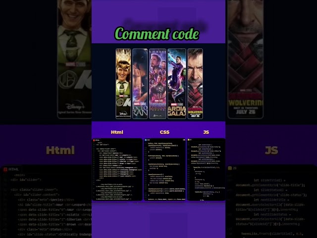 Card Border Hover Animation | HTML CSS Card Hover Effects | Web Design Shorts #shortsfeed #viral