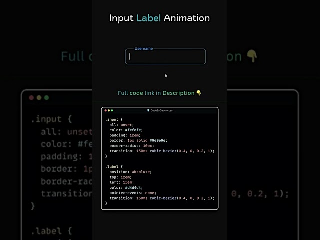 Input Label Floating Animation 🔥 HTML CSS #html #css #webdevelopment  #shorts