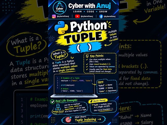 Python Tuple Explained for Beginners 🐍 | What is a Tuple in Python?